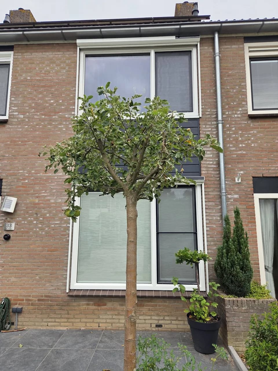 Vooraanzicht van de woning met kunststofkozijnen en screens